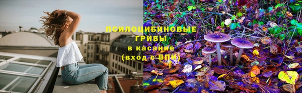 a pvp Алзамай
