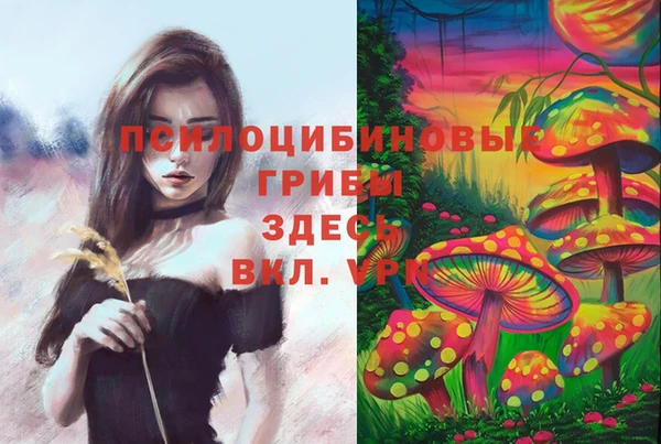 a pvp Алзамай