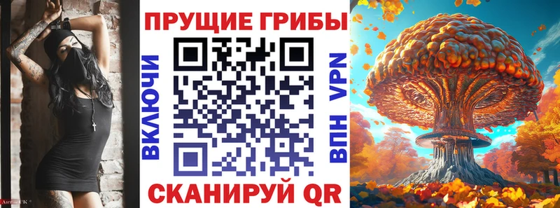 Псилоцибиновые грибы мицелий  Апшеронск 