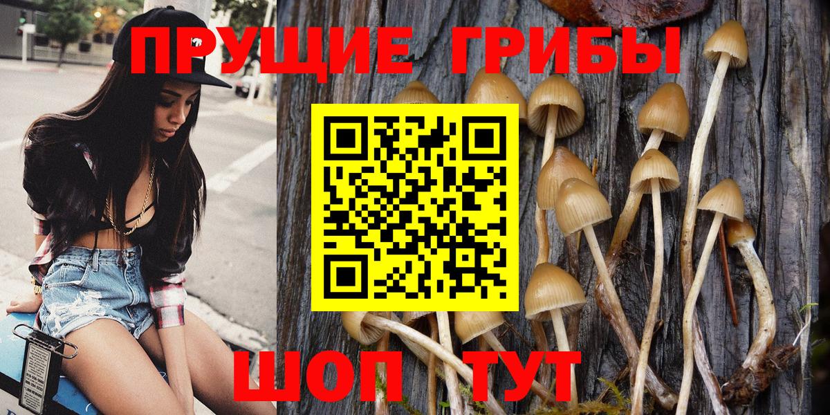 Апшеронск  Галлюциногенные грибы Cubensis  Вход с VPN 