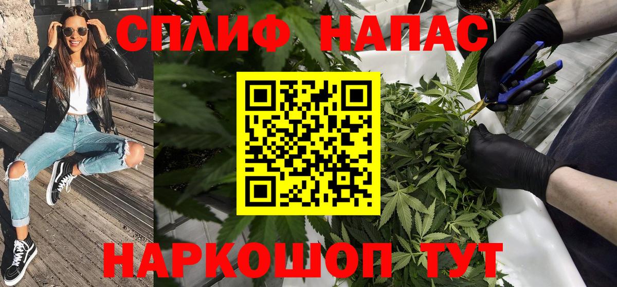 Апшеронск  Каннабис SATIVA & INDICA  Вход с VPN  Бошки Шишки семена 